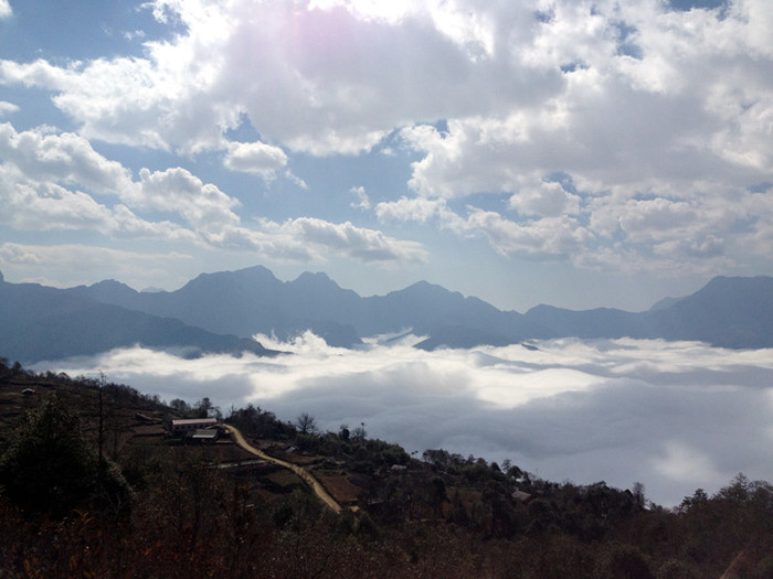 Ở dưới cánh đồng bông trắng như mây Ở dưới cánh đồng bông trắng như mây