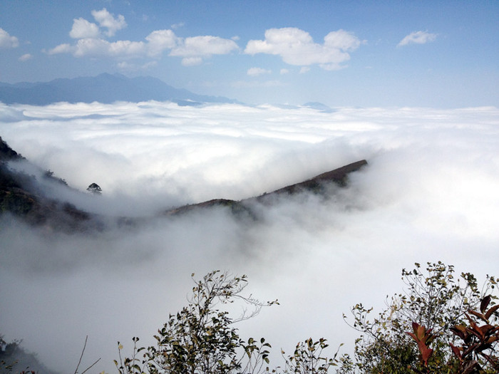 Huyền ảo. Huyền ảo.