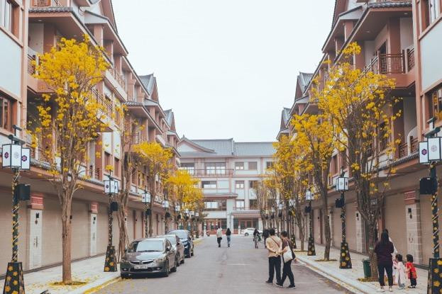 Những đại tiện ích với những thiết kế đặc trưng của “xứ sở kim chi” đã hấp dẫn được một lượng lớn người Hàn Quốc đến với “Quận Kinh Đô”. Những đại tiện ích với những thiết kế đặc trưng của “xứ sở kim chi” đã hấp dẫn được một lượng lớn người Hàn Quốc đến với “Quận Kinh Đô”.