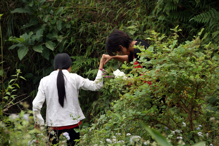Ca sỹ Thái Thùy Linh được một em học sinh dìu qua đoạn đường khó đi, Ca sỹ Thái Thùy Linh được một em học sinh dìu qua đoạn đường khó đi,