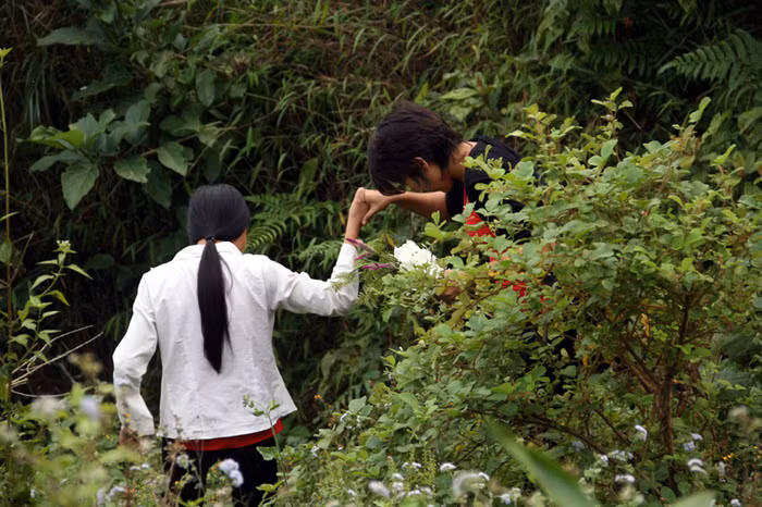 Ca sỹ Thái Thùy Linh được một em học sinh dìu qua đoạn đường khó đi, Ca sỹ Thái Thùy Linh được một em học sinh dìu qua đoạn đường khó đi,