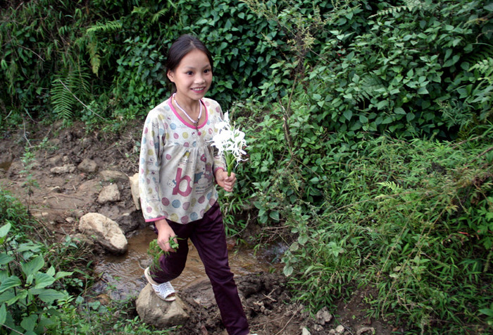 Theo các em học sinh, loại hoa (trên tay nữ học sinh) có thể xào ăn, nhưng chính các em cũng không biết tên gọi chính xác loài hoa này là gì. Theo các em học sinh, loại hoa (trên tay nữ học sinh) có thể xào ăn, nhưng chính các em cũng không biết tên gọi chính xác loài hoa này là gì.