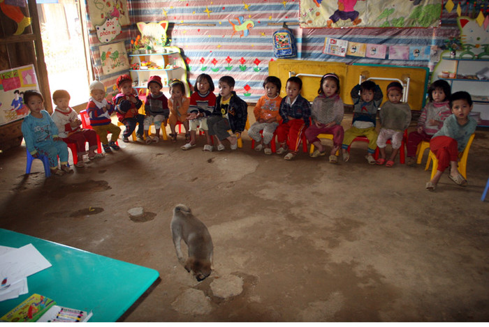 Các em mầm non sẽ ngồi học như thế này. Khác với các lớp học miền xuôi, trường mầm non Nậm Mười còn có cả 1 chú cún chạy ra, chạy vào lớp học. Các em mầm non sẽ ngồi học như thế này. Khác với các lớp học miền xuôi, trường mầm non Nậm Mười còn có cả 1 chú cún chạy ra, chạy vào lớp học.