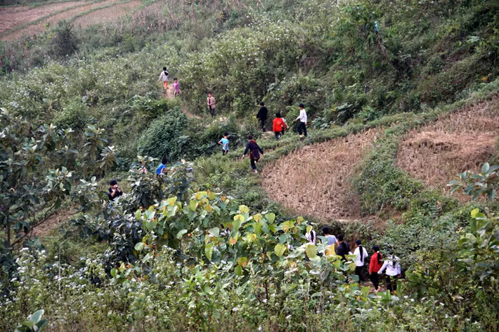 Men theo những con sườn dốc nhỏ hẹp, các em học sinh tìm rau rừng Men theo những con sườn dốc nhỏ hẹp, các em học sinh tìm rau rừng