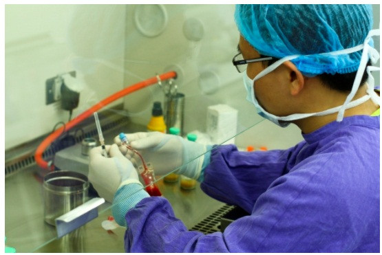 Ứng dụng tế bào gốc đã qua xử lý laser là kỹ thuật đột phá trong điều trị suy tim do hẹp tắc động mạch vành. Ứng dụng tế bào gốc đã qua xử lý laser là kỹ thuật đột phá trong điều trị suy tim do hẹp tắc động mạch vành.