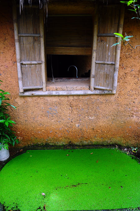 Cửa sổ và ao bèo tấm. Cửa sổ và ao bèo tấm.