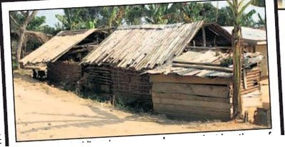 Ảnh minh họa Ảnh minh họa