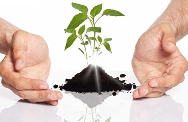Có cây thì mới có rừng, không có cây thì hoặc là đồi trọc hoặc là hoang mạc. (Ảnh minh họa: Tcnn.vn) Có cây thì mới có rừng, không có cây thì hoặc là đồi trọc hoặc là hoang mạc. (Ảnh minh họa: Tcnn.vn)