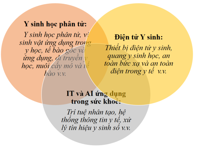 Ba khối kiến thức của chương trình thạc sĩ Công nghệ kỹ thuật y sinh. Ba khối kiến thức của chương trình thạc sĩ Công nghệ kỹ thuật y sinh.