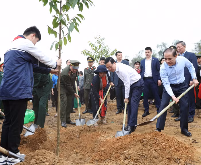 Chủ tịch nước Võ Văn Thưởng trồng cây ngay sau Lễ phát động "Tết trồng cây đời đời nhớ ơn Bác Hồ".