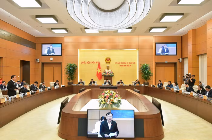 Chủ nhiệm Ủy ban Quốc phòng và An ninh trình bày báo cáo thẩm tra sơ bộ.