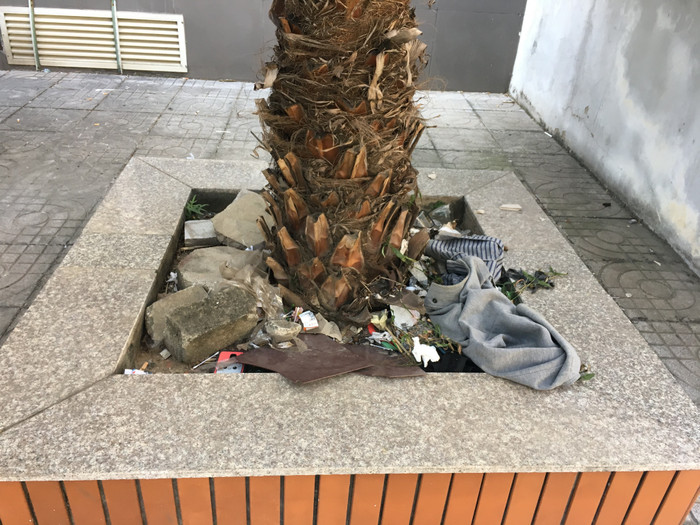 Rác bủa vây cây cảnh trong sân ký túc xá. Ảnh: Vũ Phương.