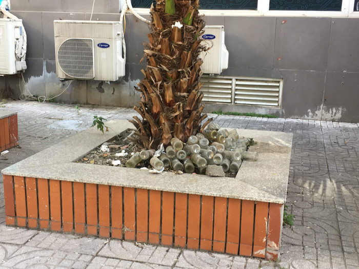 Nhiều trai lọ cắm dưới gốc cây cảnh trong ký túc xá. Ảnh: Vũ Phương.