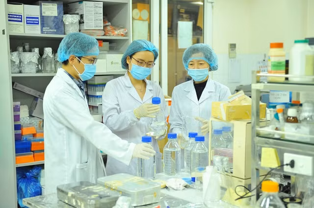 Năm 2025 thu hút nhân tài vào làm việc trong các cơ quan, tổ chức, đơn vị của Nhà nước khoảng 10% so với tổng số tuyển dụng mới. Ảnh: Baochinhphu.vn