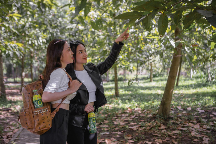 Tìm về thiên nhiên, thưởng thức những chai Trà Xanh Không Độ mát lành giữa không gian yên bình để xua tan căng thẳng mệt mỏi là cách được nhiều người trẻ yêu thích. Tìm về thiên nhiên, thưởng thức những chai Trà Xanh Không Độ mát lành giữa không gian yên bình để xua tan căng thẳng mệt mỏi là cách được nhiều người trẻ yêu thích.