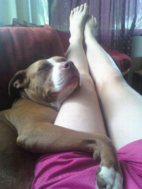 Ngủ thế này mới ngon giấc được chứ. Ngủ thế này mới ngon giấc được chứ.