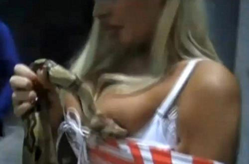 Đã nói rắn không thích ánh sáng, phải để rắn chui vào chỗ kín đáo chứ. Đã nói rắn không thích ánh sáng, phải để rắn chui vào chỗ kín đáo chứ.