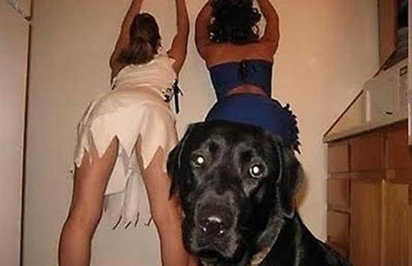 Thật không chịu nổi nữa mà. Thật không chịu nổi nữa mà.