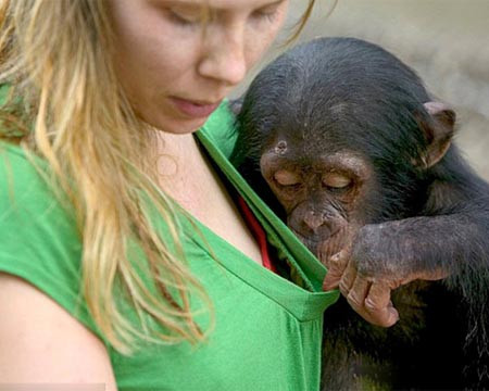 Rõ ràng nói màu đỏ rồi, mà còn cãi cơ. Rõ ràng nói màu đỏ rồi, mà còn cãi cơ.