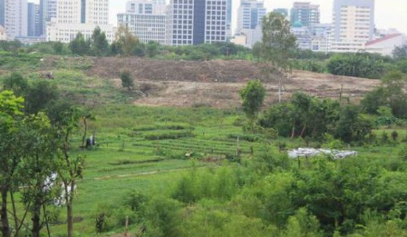 Lô đất ĐM1 tại phường Đại Mỗ mà FLC trúng thầu là đất nông nghiệp, hạ tầng cở sở vật chất xung quanh lô đất này chưa có gì (ảnh minh họa). Lô đất ĐM1 tại phường Đại Mỗ mà FLC trúng thầu là đất nông nghiệp, hạ tầng cở sở vật chất xung quanh lô đất này chưa có gì (ảnh minh họa).