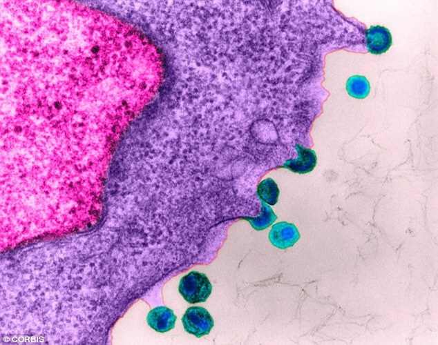 Kiểm tra hơi thở có thể phát hiện ung thư đường ruột ảnh 2 Kiểm tra hơi thở có thể phát hiện ung thư đường ruột ảnh 2