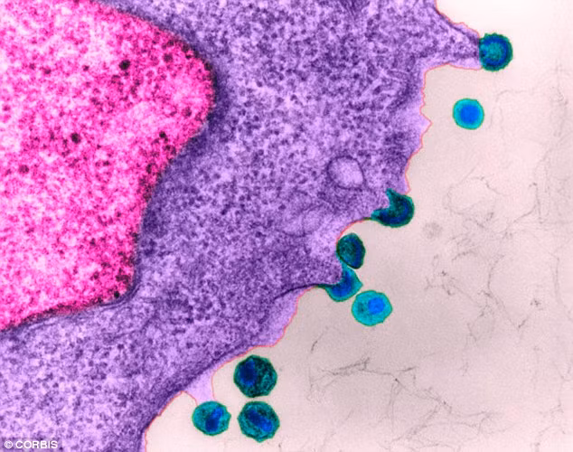 Kiểm tra hơi thở có thể phát hiện ung thư đường ruột ảnh 2 Kiểm tra hơi thở có thể phát hiện ung thư đường ruột ảnh 2