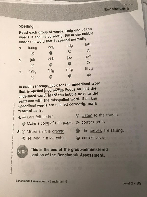 Bài kiểm tra môn Văn ở Mỹ.