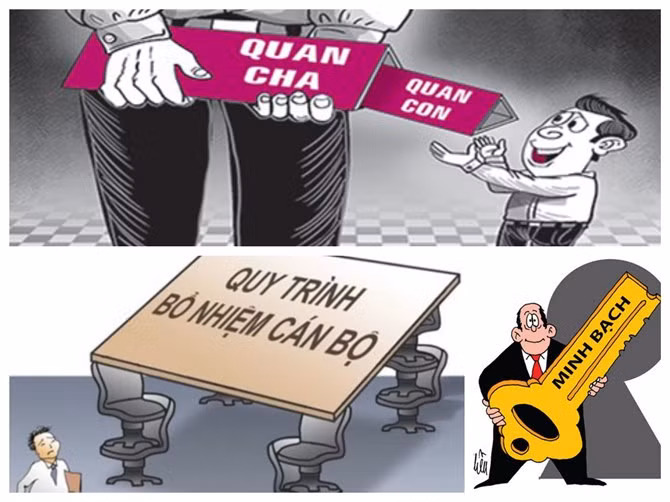 Chọn bằng lòng hay trình độ? ảnh 1 Chọn bằng lòng hay trình độ? ảnh 1