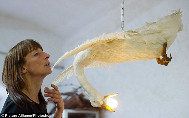 Nữ thiết kế làm việc tại xưởng ở Leuenberg, Đức