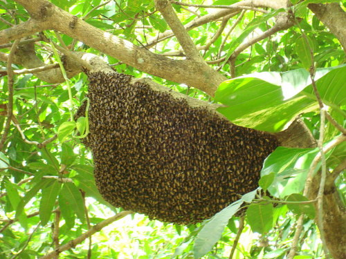 ảnh minh họa ảnh minh họa