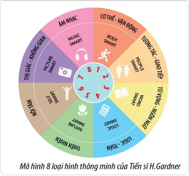 Mô hình 8 loại hình thông minh của Tiến sĩ H.Gardner. Mô hình 8 loại hình thông minh của Tiến sĩ H.Gardner.
