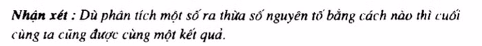 Ví dụ về một nhận xét mà tác giả đưa ra.