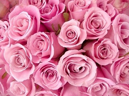 Sự khác nhau giữa vợ và người yêu ảnh 2 Sự khác nhau giữa vợ và người yêu ảnh 2