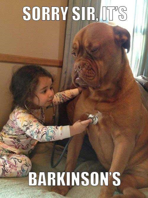 Hãy luôn động viên khuyến khích trẻ theo đuổi hình mẫu yêu thích. (Ảnh vui trên trang atchuup.com) Hãy luôn động viên khuyến khích trẻ theo đuổi hình mẫu yêu thích. (Ảnh vui trên trang atchuup.com)