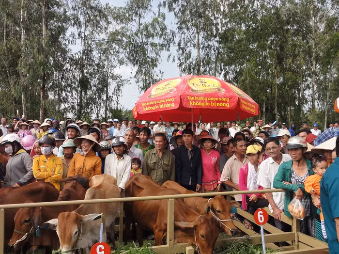 Nhãn hàng Trà thanh nhiệt Dr Thanh hơn 5 năm đồng hành cùng chương trình Lục lạc vàng.