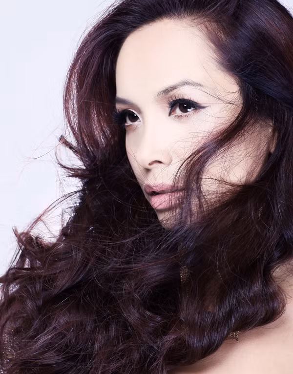 Năm 2013 cũng đánh dấu 20 năm Thúy Hằng và Thúy Hạnh bước chân vào hoạt động ở lĩnh vực nghệ thuật.