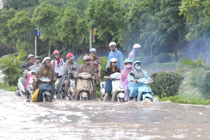 Dòng người nối đuôi nhau, mò mẫm , sợ sệt có lẽ sợ rơi phải hố ga mất nắp? Dòng người nối đuôi nhau, mò mẫm , sợ sệt có lẽ sợ rơi phải hố ga mất nắp?