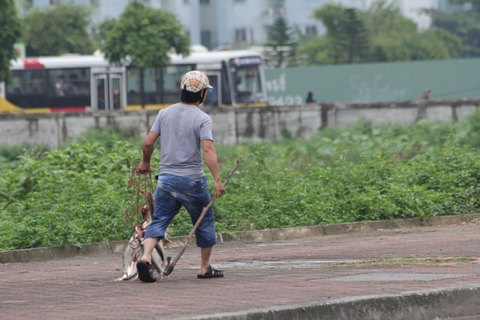 Người thanh niên đang hồ hởi xách xâu cá về nhà sau khi bắt được từ dưới các hố ga Người thanh niên đang hồ hởi xách xâu cá về nhà sau khi bắt được từ dưới các hố ga