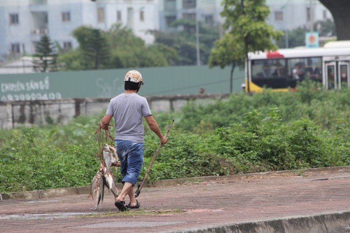Hầu hết cá bắt được ở đây đều là cá to Hầu hết cá bắt được ở đây đều là cá to