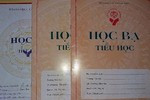 Sao không thể là học bạ điện tử? ảnh 2 Sao không thể là học bạ điện tử? ảnh 2