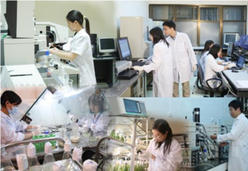 Ảnh minh hoạ/ VGP Ảnh minh hoạ/ VGP