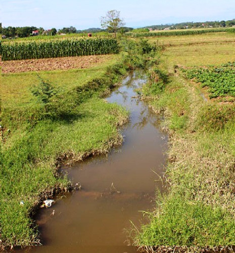 Hiện trường mương nước nơi CQĐT Công an Bắc Giang kết luận, Long một tay ôm cháu bé, một tay bịt miệng lội qua mương để thực hiện hành vi phạm tội Hiện trường mương nước nơi CQĐT Công an Bắc Giang kết luận, Long một tay ôm cháu bé, một tay bịt miệng lội qua mương để thực hiện hành vi phạm tội
