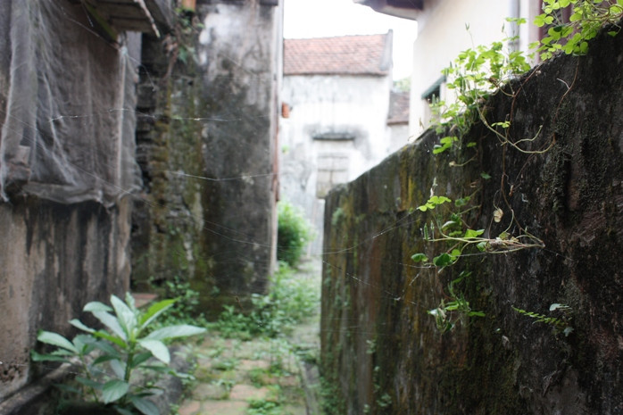 Nét rêu phong cổ kính