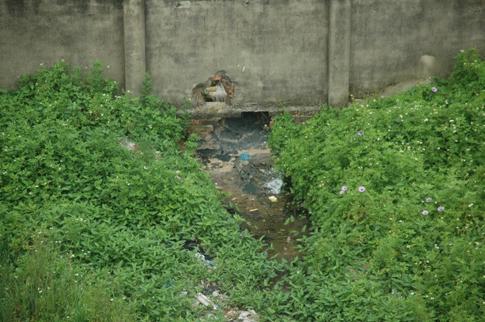 Nước thải từ xưởng sản xuất được đổ ra bên ngoài tự nhiên Nước thải từ xưởng sản xuất được đổ ra bên ngoài tự nhiên