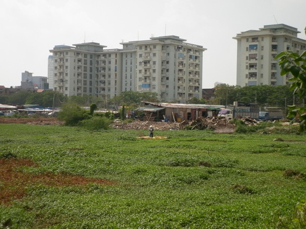 Cả một diện tích đất rộng lớn giờ được "chuyển đổi mục đích sử dụng" thành nơi trồng rau. Cả một diện tích đất rộng lớn giờ được "chuyển đổi mục đích sử dụng" thành nơi trồng rau.