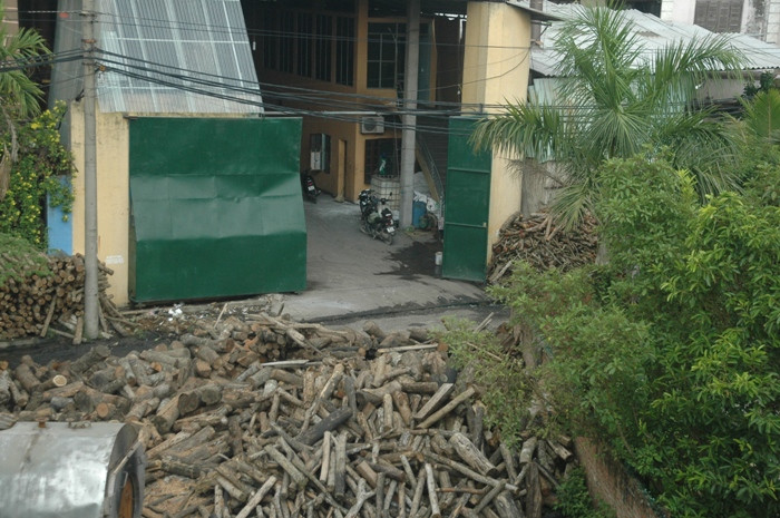 Gỗ là nguyên liệu chính để sản xuất giấy Gỗ là nguyên liệu chính để sản xuất giấy