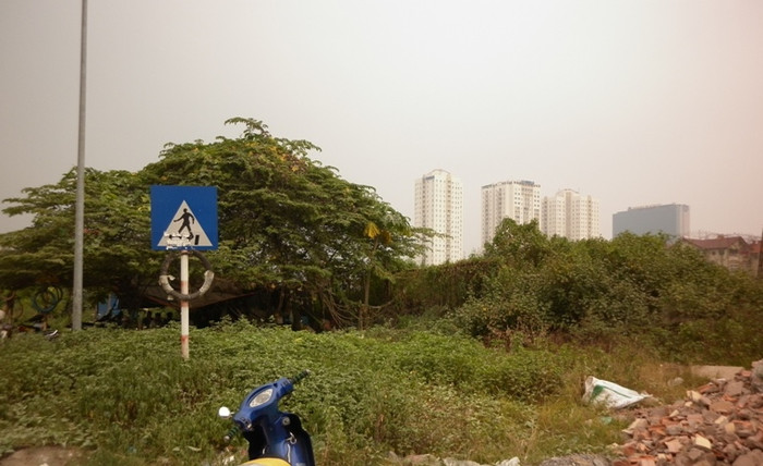 Nhìn từ bên ngoài, dự án chẳng khác nào một khu đất "ma" với cây dại leo chằng chịt Nhìn từ bên ngoài, dự án chẳng khác nào một khu đất "ma" với cây dại leo chằng chịt