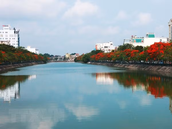 Hoa phượng nở dọc bờ hồ Tam Bạc - trung tâm thành phố Hải Phòng. (Ảnh: Lâm Khánh/TTXVN)