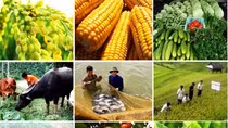 Phải thu hút doanh nghiệp đầu tư cho nông nghiệp ảnh 2