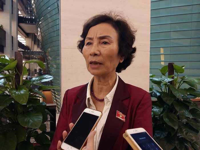 Phó Giáo sư Bùi Thị An cho rằng, Sở Tài nguyên và Môi trường tỉnh Hải Dương cần phải vào cuộc ngay khi người dân phản ánh nhà máy luyện thép trên địa bàn gây ô nhiễm. Ảnh: N.Q Phó Giáo sư Bùi Thị An cho rằng, Sở Tài nguyên và Môi trường tỉnh Hải Dương cần phải vào cuộc ngay khi người dân phản ánh nhà máy luyện thép trên địa bàn gây ô nhiễm. Ảnh: N.Q